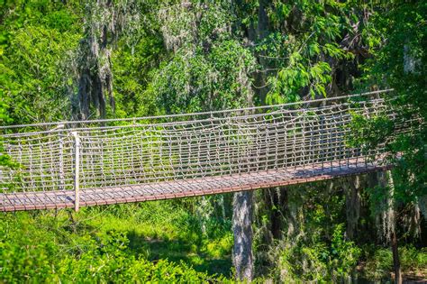 15 Best Things to do in McAllen, Texas .